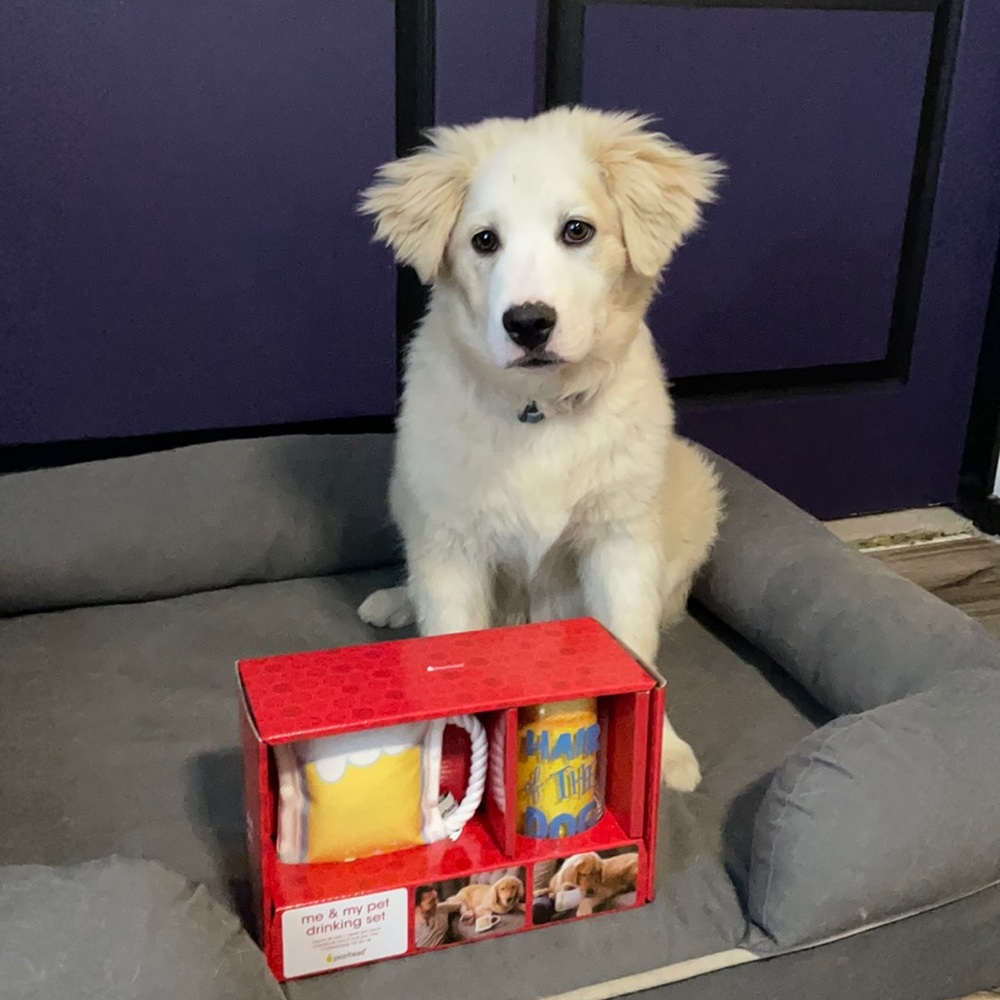 NWT Me & My Pet Drinking Set